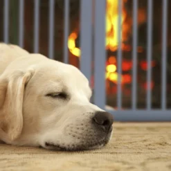 Relaxdays Graues Absperrgitter 92 Cm Hoch 14 Relaxdays Graues Absperrgitter 92 Cm Hoch -lionelo || HAUCK || Kinderkraft Verkäufe 09a807c5edca28c1c32a404ff43882bb