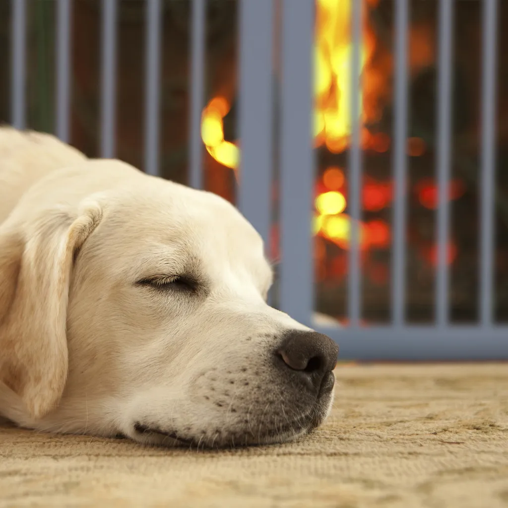 Relaxdays Graues Absperrgitter 92 Cm Hoch 6 Relaxdays Graues Absperrgitter 92 Cm Hoch – Bild 6