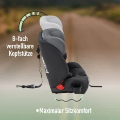 FableKids NALA Autokindersitz Autositz Kinderautositz Mit Isofix 9-36kg Gruppe 1+2+3 ECE Grau -lionelo || HAUCK || Kinderkraft Verkäufe 09f52f9419c7127de779db54ba96dba7