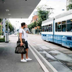 ABC Design Ping Two Buggy Herb Diamond Kollektion 2022 -lionelo || HAUCK || Kinderkraft Verkäufe 1c23d1157547fab0d8b93942f3aeb2b6