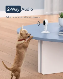 GNCC GC1 Babyphone Mit Kamera - 2MP Indoor WiFi Kamera 2.4G WiFi Für Kinder/Haustiere/Senioren Mit Monitor Und Geräuscherkennung - Nachtsicht - Zwei-Wege-Audio - Zwei Packs -lionelo || HAUCK || Kinderkraft Verkäufe 1cc2a17701f448c8215fb757ae78ee16