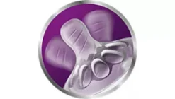 PHILIPS AVENT Avent Silikonsauger Sauger Natural 2er Pack Ab 0 Monate -lionelo || HAUCK || Kinderkraft Verkäufe 45a92fcdd89500fc8e268e81729808b5