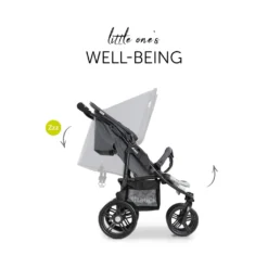 Hauck Roadster Duo SLX Grey/Silver 24 Hauck Roadster Duo SLX Grey/Silver -lionelo || HAUCK || Kinderkraft Verkäufe 4f66de29a0d76877b3746c46c17e63b8