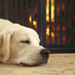 Relaxdays Schwarzes Absperrgitter Mit Tür 92 Cm 14 Relaxdays Schwarzes Absperrgitter Mit Tür 92 Cm -lionelo || HAUCK || Kinderkraft Verkäufe 5ae47f3bbf3a054284754b3524ed05a6