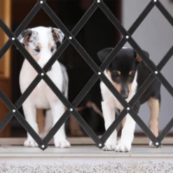 Relaxdays Ausziehbares Hundeabsperrgitter Schwarz 13 Relaxdays Ausziehbares Hundeabsperrgitter Schwarz -lionelo || HAUCK || Kinderkraft Verkäufe 6a70619099ec8ec971de173ba460e8a5