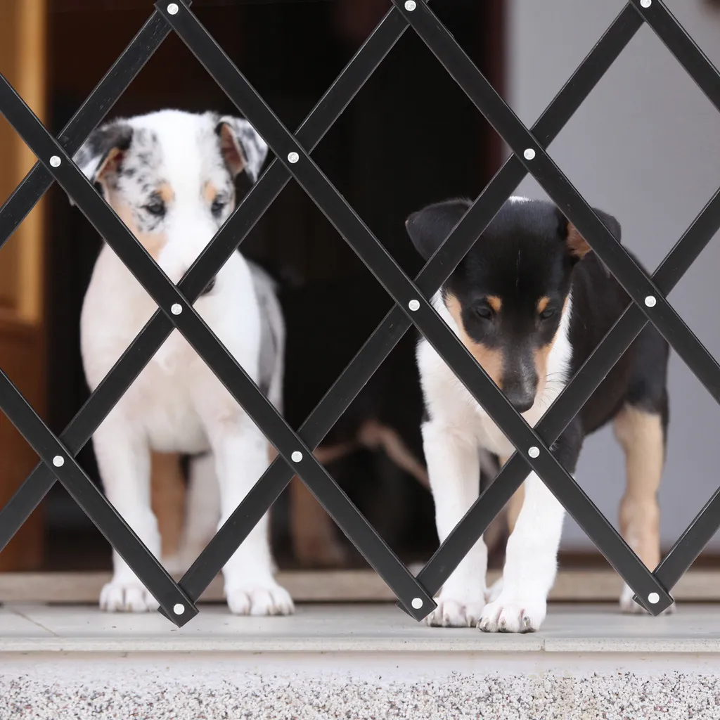 Relaxdays Ausziehbares Hundeabsperrgitter Schwarz 5 Relaxdays Ausziehbares Hundeabsperrgitter Schwarz – Bild 5