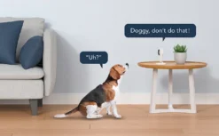 GNCC GC1 Babyphone Mit Kamera - 2MP Indoor WiFi Kamera 2.4G WiFi Für Kinder/Haustiere/Senioren Mit Monitor Und Geräuscherkennung - Nachtsicht - Zwei-Wege-Audio - Zwei Packs -lionelo || HAUCK || Kinderkraft Verkäufe 97e2a419a0f6b60eb441c8fa98cc4bf6