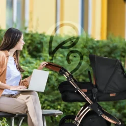 FableKids 3in1 Kombi-Kinderwagen Reisebuggy Inkl. Auto- Babyschale Buggy Faltbar Rosé Gold / Schwarz -lionelo || HAUCK || Kinderkraft Verkäufe aaba2221b163428ce017ec2ced162083