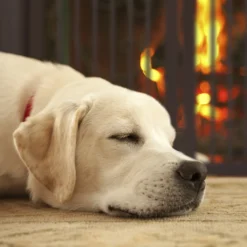 Relaxdays Braunes Absperrgitter 92 Cm Hoch -lionelo || HAUCK || Kinderkraft Verkäufe bd0b247ffe67007bf9d3409c2b6fa934