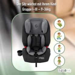 FableKids NALA Autokindersitz Autositz Kinderautositz Mit Isofix 9-36kg Gruppe 1+2+3 ECE Grau -lionelo || HAUCK || Kinderkraft Verkäufe ee17103f88d7c22da0214e86adcd6c73